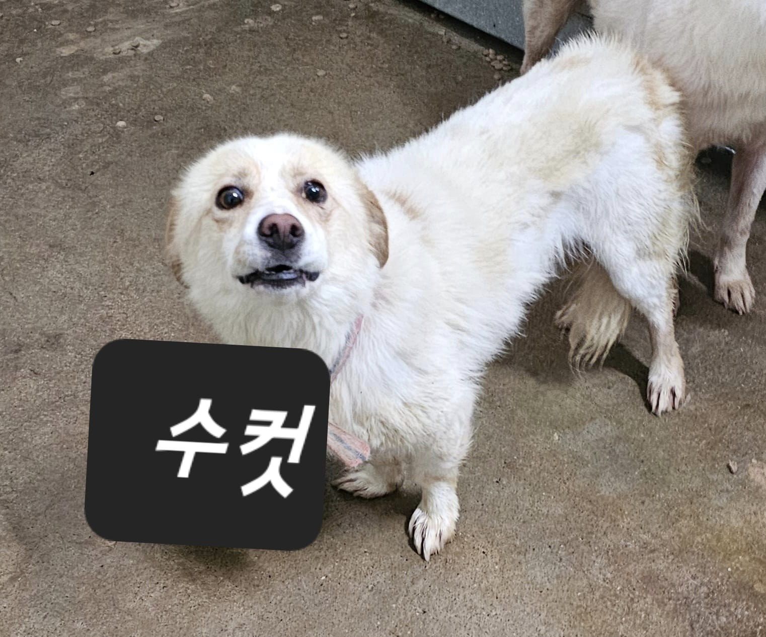 화천군농업기술센터_442431202300061